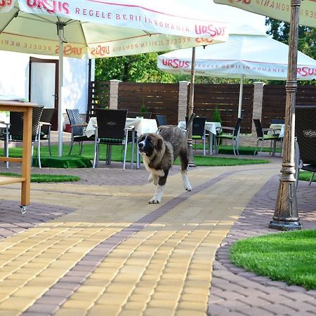 Pensiune Restaurant Flamingo Sighetu Marmaţiei Екстериор снимка