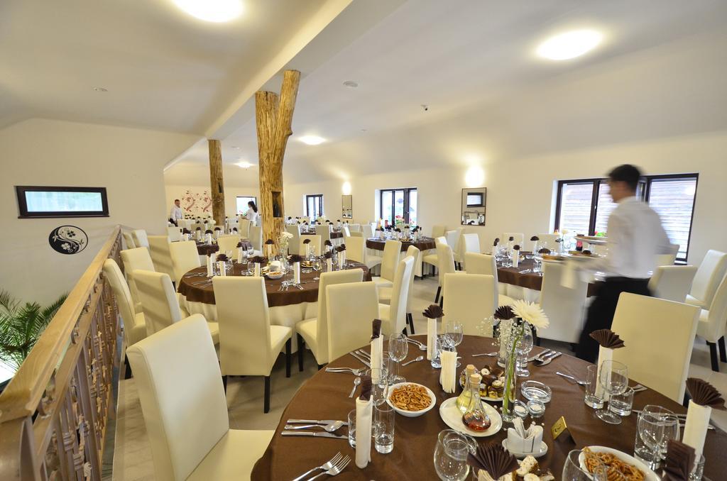 Pensiune Restaurant Flamingo Sighetu Marmaţiei Екстериор снимка